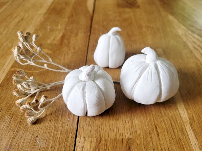 Citrouilles en terre et mignonneries d’Halloween