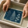 Cyanotype
